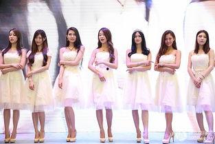 2017夜福利在线,揭秘年度热门娱乐盛宴